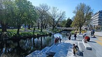 Christchurch Half Day Tour