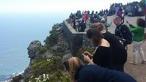 Private Tour Experience in Cape Mini Peninsula