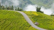 16 Day Car Tour in and around Ho Chi Minh City