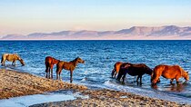 Private 11 Days Trip at Kyrgyzstan