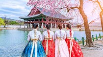 Luxury Seoul Highlight Day Tour with Concert