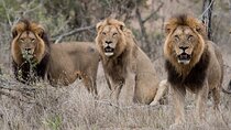 7 Day Tour in Kenya National Parks