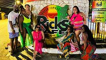 Negril Private Tour via Luxury Car