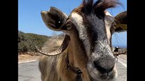 Luxury Off-Road Safari Adventure in Crete