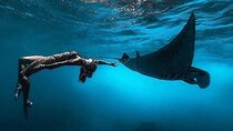 Nusa Penida Snorkeling with Manta Rays and Island Tour 