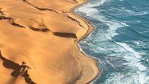 Doha Quad Bike, Dune Bashing, Camel Ride and Inland Sea Tour