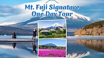 Mt. Fuji Signature 6 Scenic Spots One Day Tour from Tokyo