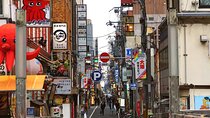 Osaka City Cherry Blossom Private Sightseeing Tour