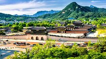9 hour Private Tour Experience at Myeongdong by Car