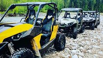 Zakopane Buggy Ride Adventure with Bonfire and Transfers