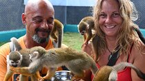 Monkey Home Puerto Plata Countryside Tour