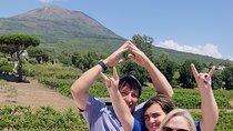 Wine Tasting in Naples and Amalfi Coast Tour All Inclusive