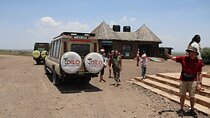 5-Day Group Camping Safari Adventure