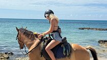 Horse Riding & Sunset Catamaran Ricks Cafe Combo MONTEGO BAY AREA