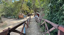 Private All Inclusive Hot Springs Relaxing Tour
