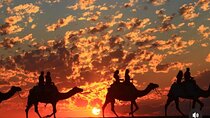 Cabo San Lucas Combo 2 in 1 Skybikes, ATV, RZR, Horses or Camel 