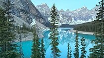 Lake Louise Moraine, Emerald&Peyto Lake 4 lakes tour from Calgary