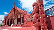 Magical Rotorua Private Tour with Spa Experience from Auckland