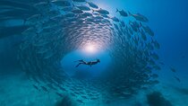 5 Secret Gili Snorkeling & Hoping Island from Gili Gede to Asahan