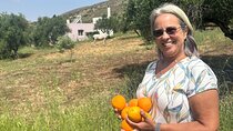Melanes Tour: Village Highlights & Garden-to-Table Meal