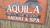 Private Safari Day Tour 