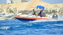 Swim With Dolphin By small-group Speedboat & Transfer - Hurghada