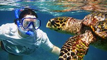 Hikkaduwa Unforgettable Snorkeling Experience 