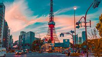Tokyo, Hakone, Mt Fuji, and Nikko, 3 Day Private Tour
