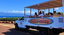 Fun & Affordable! West Maui Open-Air Sightseeing Tour!
