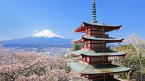 Hakone, Shirakawago, Kanazawa 4 Days Bus Tour from Tokyo to Kyoto