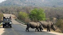 Cape Town: 10 Day Adventure to Johannesburg via Garden Route