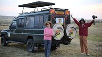 7 Day Masai Mara Nakuru Naivasha and Amboseli Budget Group Safari