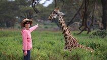 5Day Masai Mara, Lake Nakuru and Naivasha Daily Budget Safari