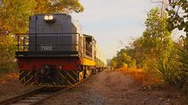 Saturday Sunset Train Tour