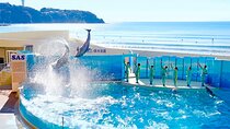 Kamakura and Enoshima Beach 1-Day Bus Tour 