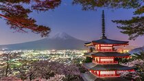 Mount Fuji Private Full Day Customize Tour With English Driver