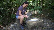 Bribri Limon Shaman Tour Experience