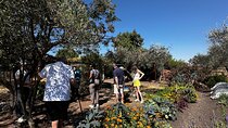 Farm to Table Cooking Experience in San Miguel
