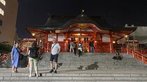Shinjuku Night Walking Tour with Japanese Tokyo local