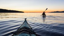 False Bay Walk & Penguin Kayak Experience - Best thing to do