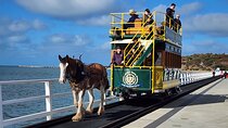 McLaren Vale, Port Elliot and Victor Harbor Minibus Tour