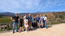 3 Day Chile Wine Experience in Los Andes Casablanca and Maipo