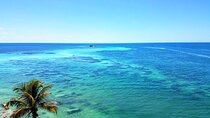 Private Full-Day Tour of Florida Keys from Miami/FLL to Key West