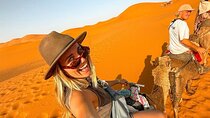 Tangier 3 Hours Sightseeing & Camel ride