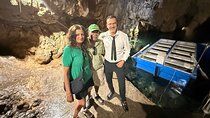 Transfer from Naples to Amalfi with stop at Pompeii or Return