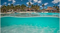 Private Tulum Ruins, Turtles in Akumal and Cenote Adventure