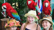 Phuket Bird Park Admission Ticket