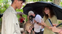 Siem Reap Guided Tour & Hero RATs at APOPO Visitor Center