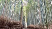 Bamboo Grove Temple and Garden Views Tour