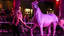 Horseback Ride and BBQ with Spanish Show Cowboy Experience